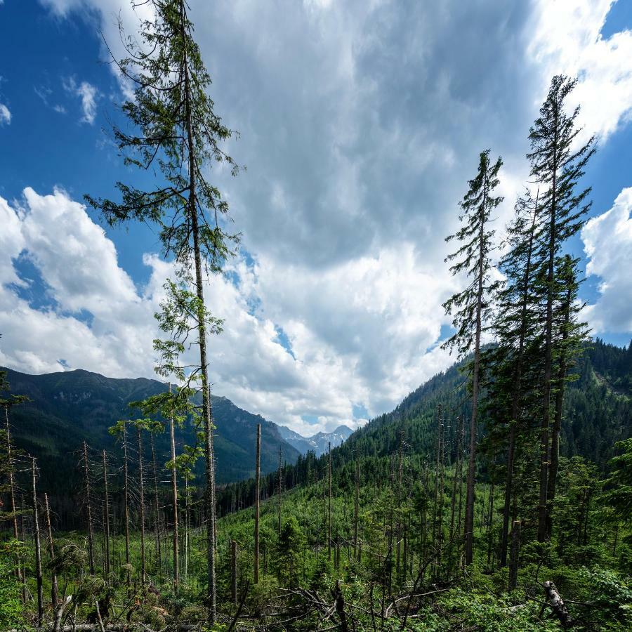Appartamento Smrek Martina Apr.C.57 Štrbské Pleso Esterno foto